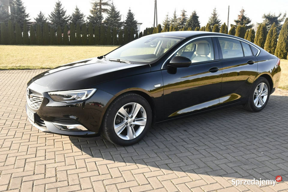 Opel Insignia 16d DUDKI11 NaviKlimatr 2 łódzkie Kutno