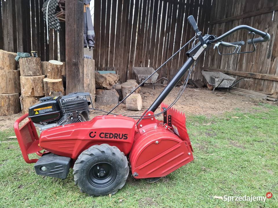 Glebogryzarka Cedrus GL03 PRO napęd na Kazimierza Wielka