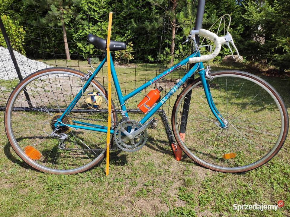 Schwinn world Sport damski dolnośląskie