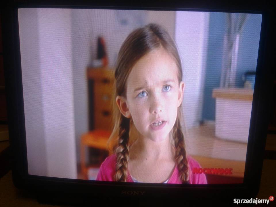 SONY TRINITRON 29X1K DUŻY TELEWIZOR W Euro sprzedam