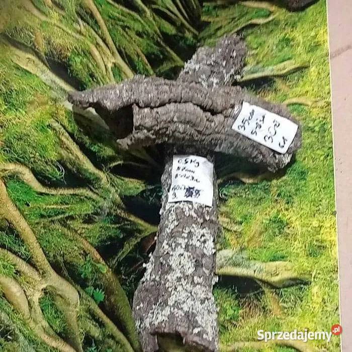 Tuba korkowa 1545 Tuby korkowe do terrarium Ostrów Wielkopolski sprzedam