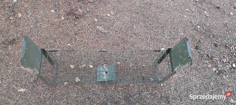 Żywołapka na gryzonie Łódź sprzedam