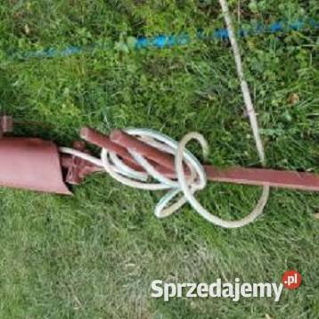 belka herbicydowa Złota