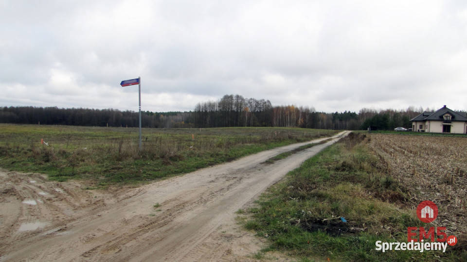 Grunt Tołcze 1000m2 budowlana