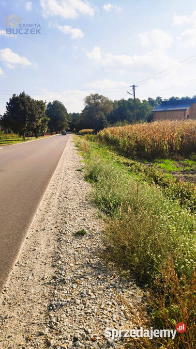 Sprzedam działki rolne z wydanymi WZ w Juliopolu budowlana Juliopol sprzedam