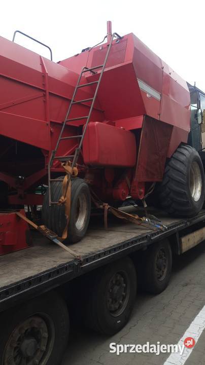Kombajn Zbożowy Massey Ferguson 20 Stan Gotowy Zbożowe lubelskie Chełm