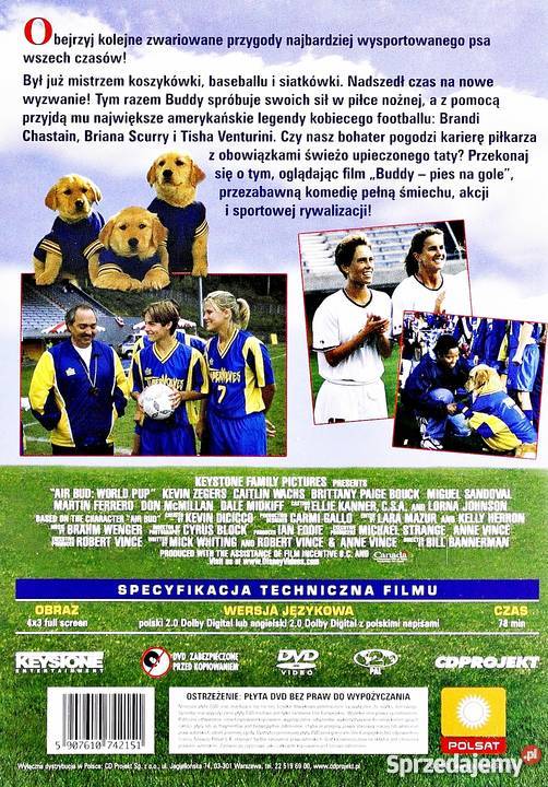 BUDDY PIES NA GOLE DISNEY wielkopolskie Kalisz