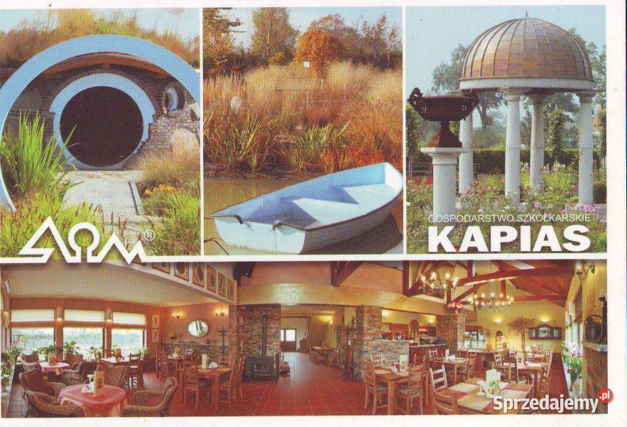 K Poczt Kapias widoki Gliwice