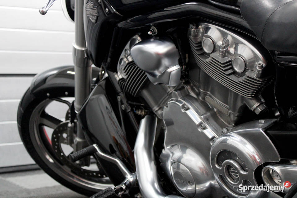 HD VROD MUSCLE w pełnym oryginale Unikat zarejestrowany w Polsce Nowy Dwór Mazowiecki