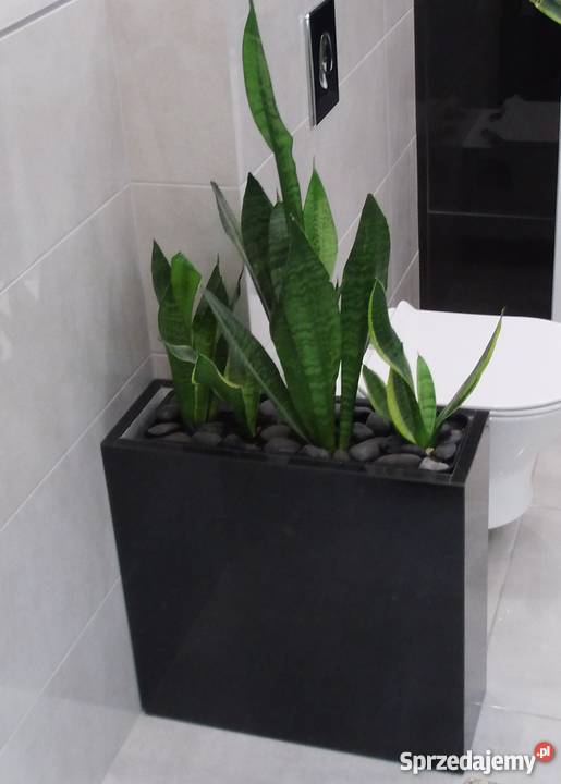 Glamour OSŁONKA Donica 55x55x20 LACOBEL BROKAT czarny Łódź