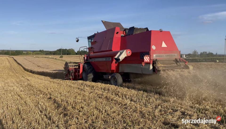 Massey Ferguson 31xp dronningborg 8500 Wierzba