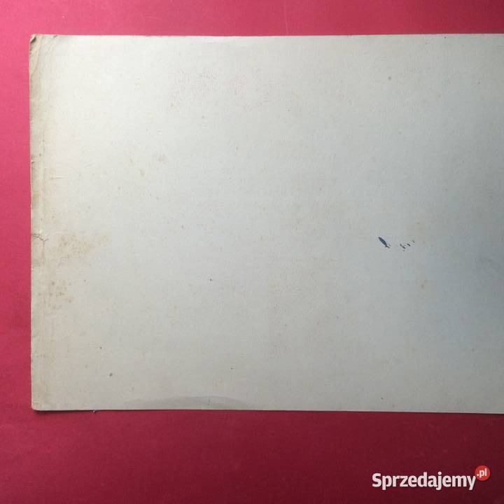 1361 Dyplom Gładki Szczecin