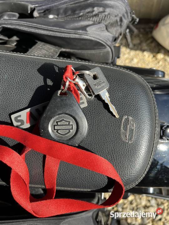 HarleyDavidson SPORTSTER IRON XL 1200 NS benzyna Rogów