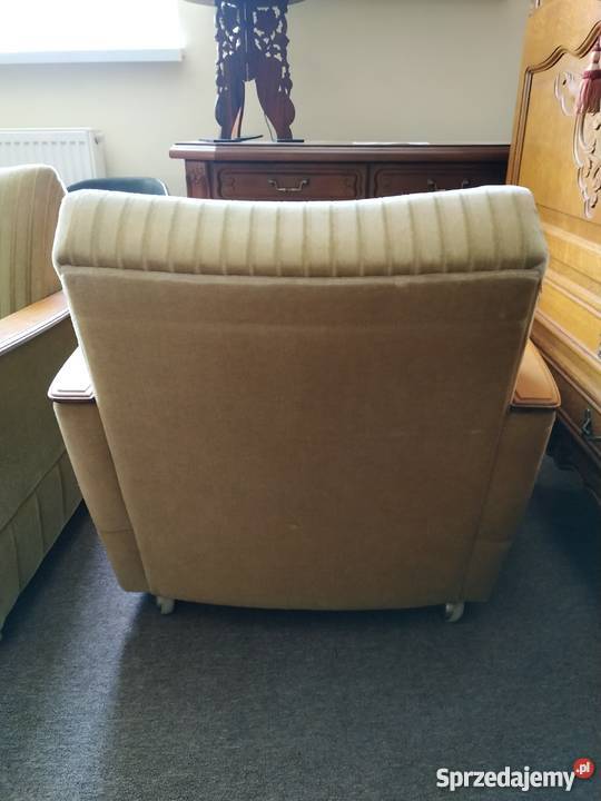 Tapicerowany fotel pluszowy 2 Białystok