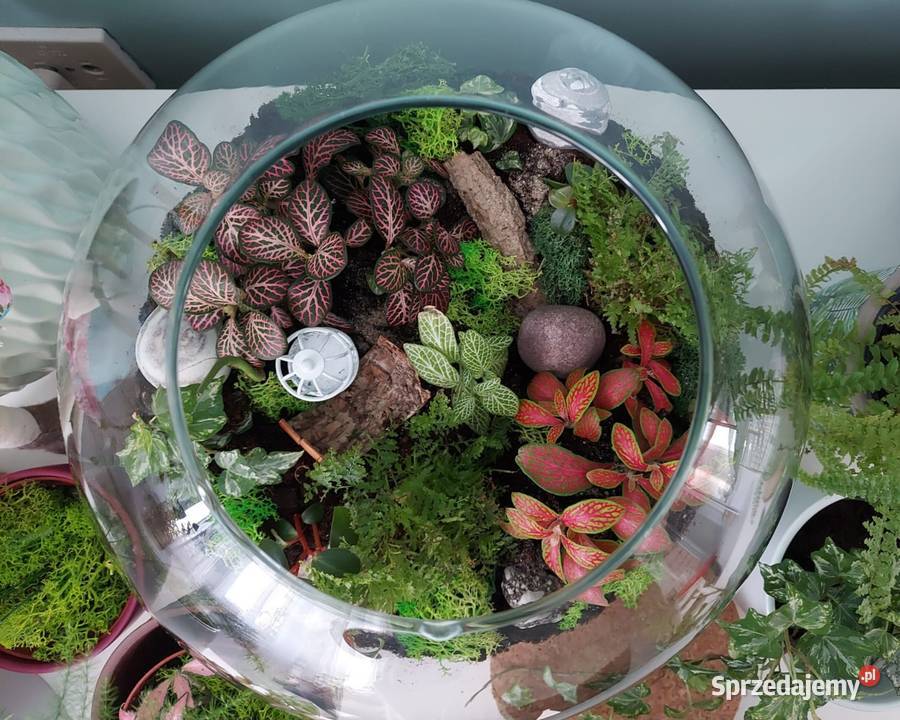 Szklana kula Doniczki i osłonki Kraków