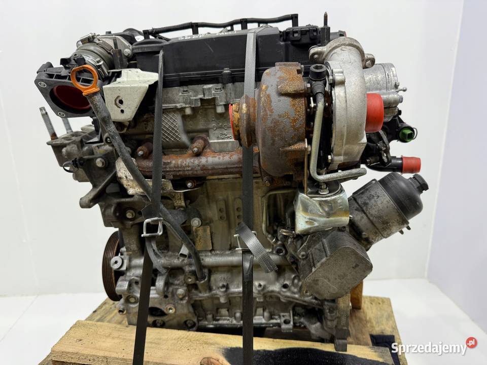 SILNIK G8DF Ford Focus II MK2 C C 16 TDCI 109 osobowe Chełm