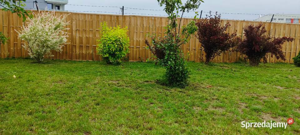 Sprzedam działkę ROD 95zł/m2