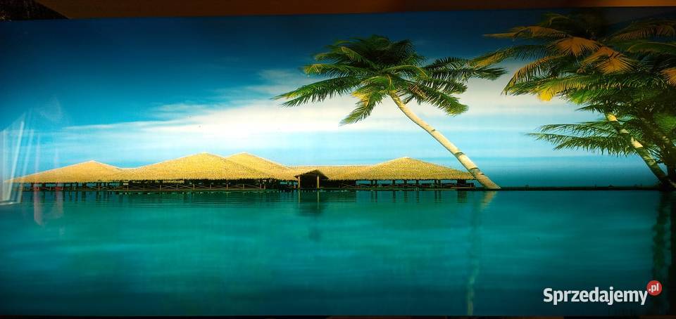 Obraz retro z dźwiękiem świecący 8widoków palmy Legionowo