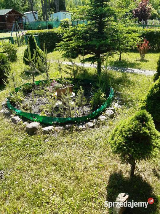 Działka ROD Kalina Zawilcowa lubelskie Lublin
