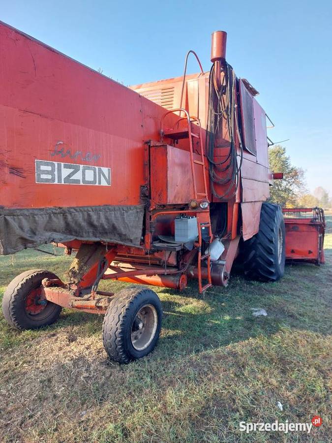 Bizon zo56 małopolskie Dąbrowa Tarnowska