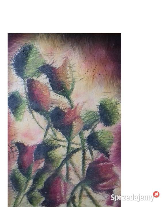 Mgiełkowe Róże sprzedam