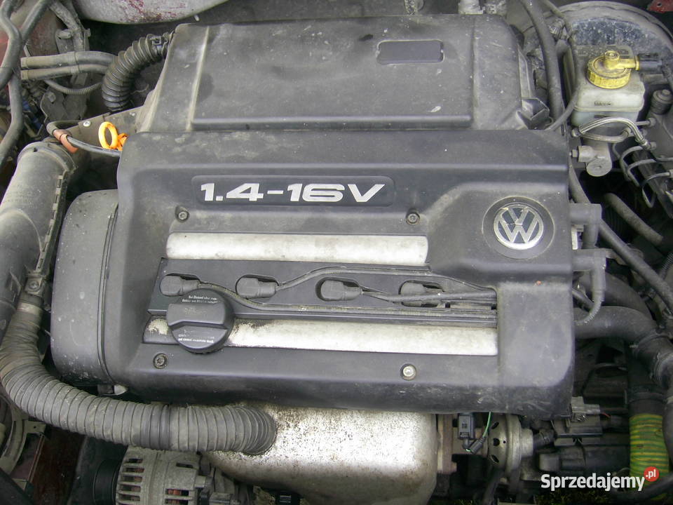 Golf 4 1.4 16v ölfilter Wechseln sprzedam golf 4 1,4 16v Kalisz - Sprzedajemy.pl