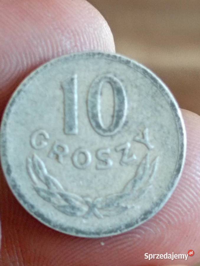 Sprzedam monete 10 groszy 1963 r Chełm sprzedam