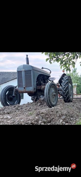 Ferguson tea 20 Limanowa