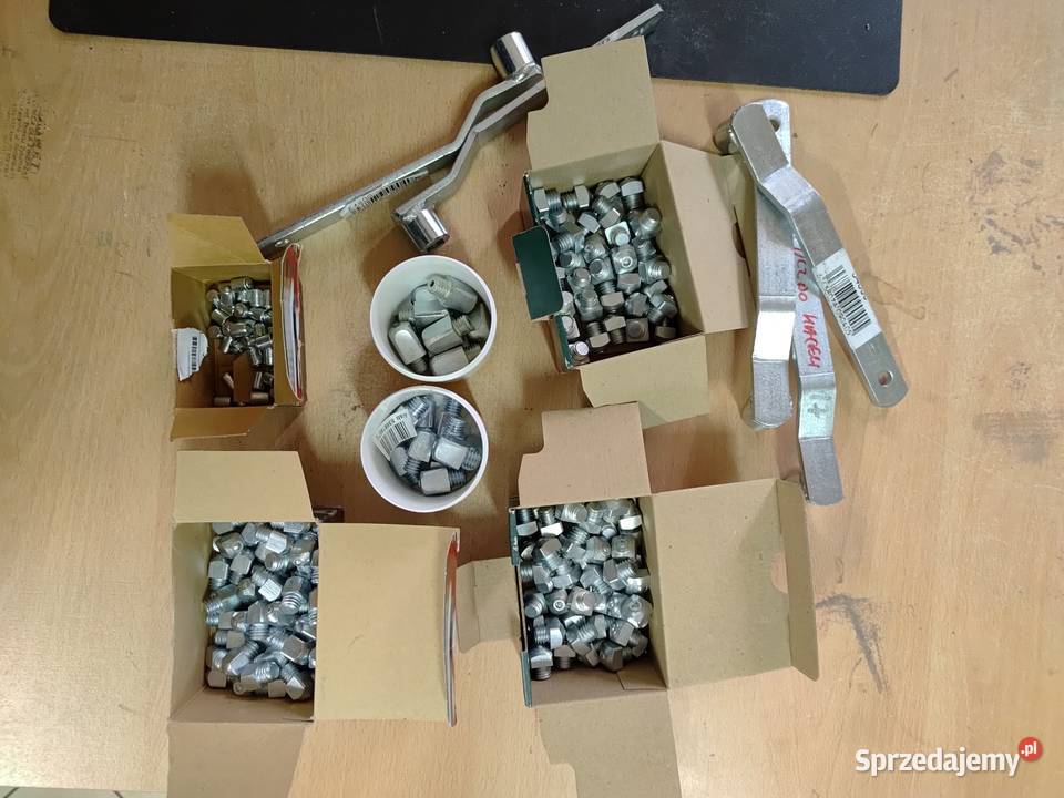 czapsy covaliero M mazowieckie Kazanów