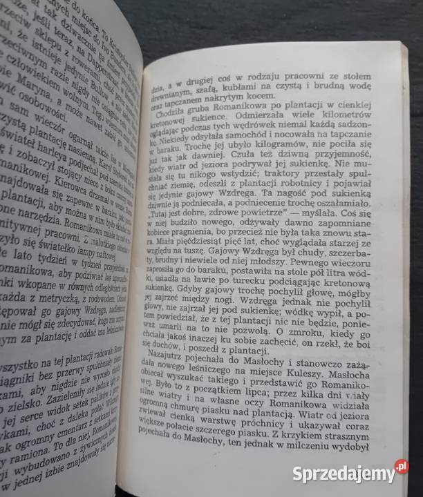 Zbigniew Nienacki Wielki las PIW 1987 r Wydanie miękka wielkopolskie