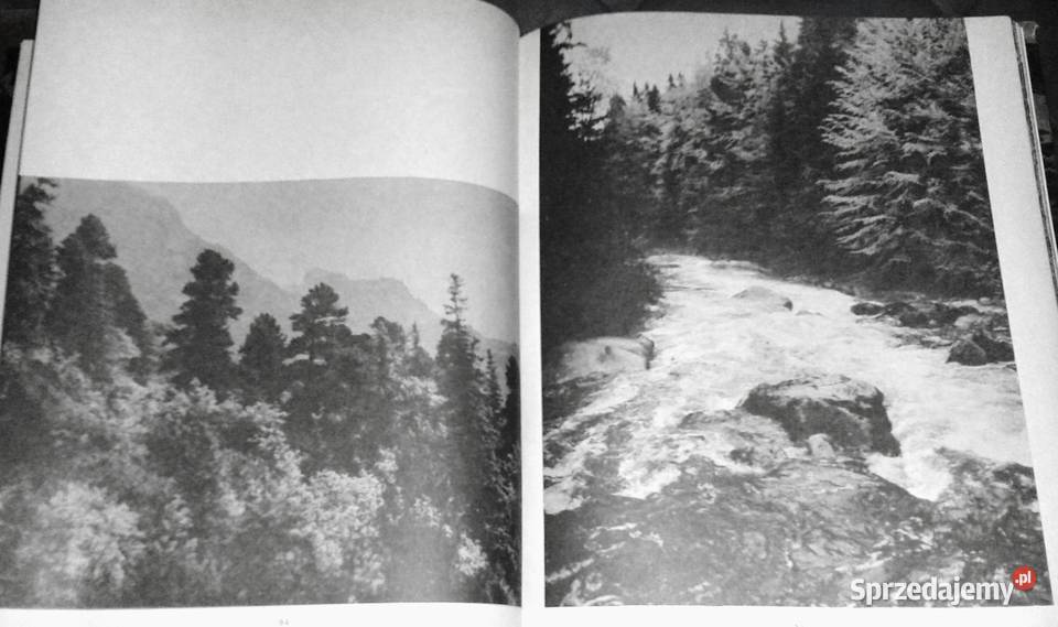 W głąb lasu Las w polskiej literaturze i sztuce Pozostałe Chełm