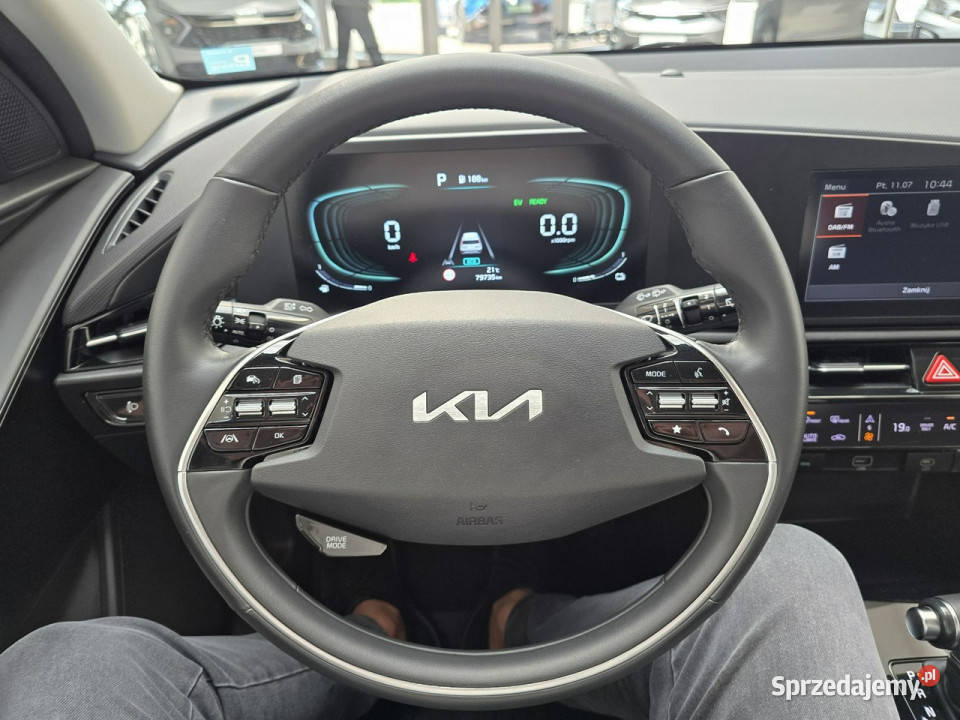 Kia Niro Krajowy Pierwszy wł Serwis Gwarancja 4/5 Tarnów