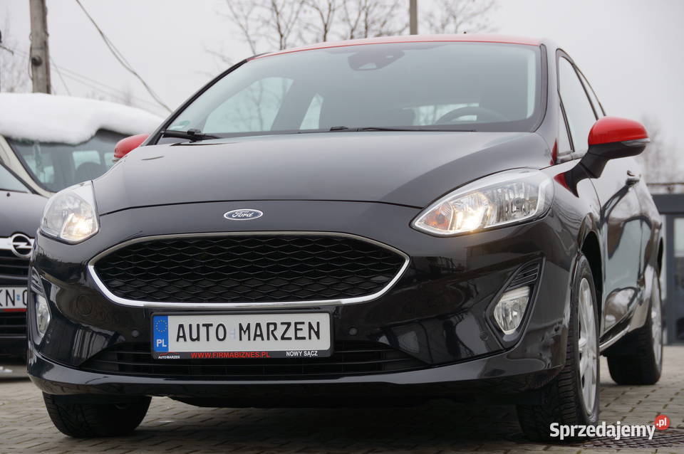 Ford Fiesta 10 Benzyna 100 Klima Kamera Mały Fiesta małopolskie Nowy Sącz