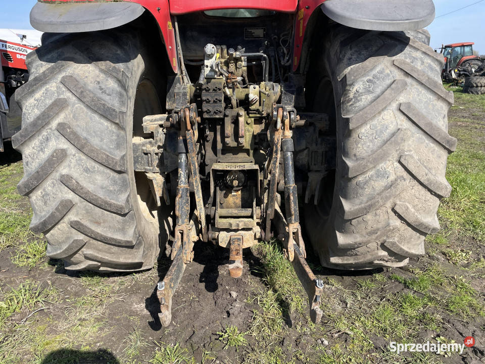 Massey Fergusson 6499 części Jastrzębniki sprzedam