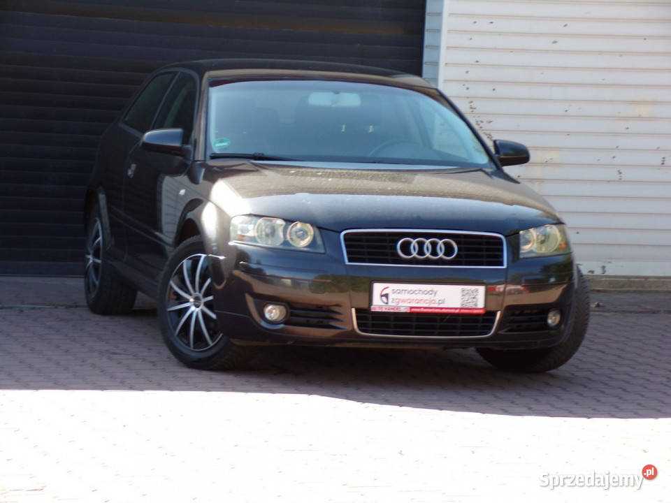 Audi A3 3drzwiowe Klimatronic BOSE 16 mpi 102 8P Hatchback Mikołów