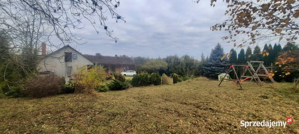 Dom z duża działka 2800m2 75m2 świętokrzyskie Krężoły sprzedam