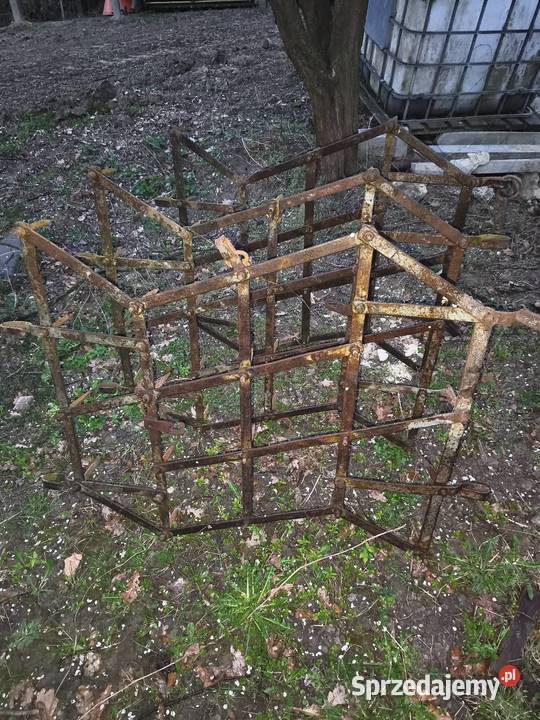 Brony konne 3 Łańcut