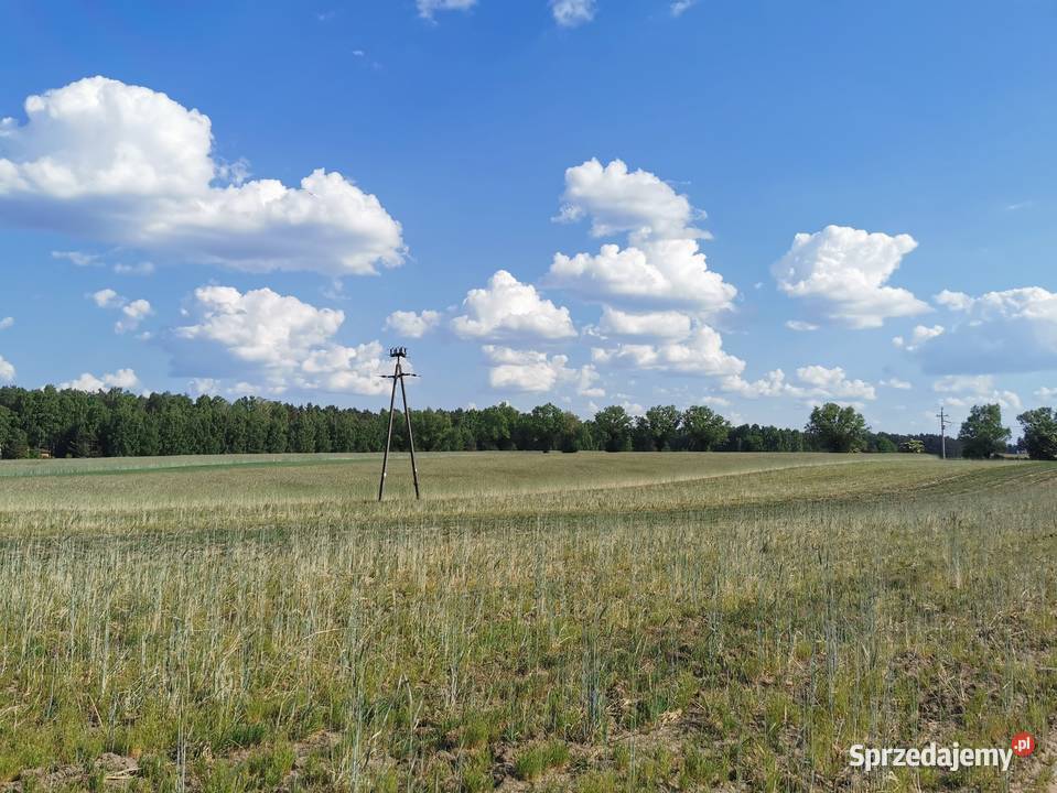 SZUMLIN Działki rekreacyjne z warunkami zabudowy