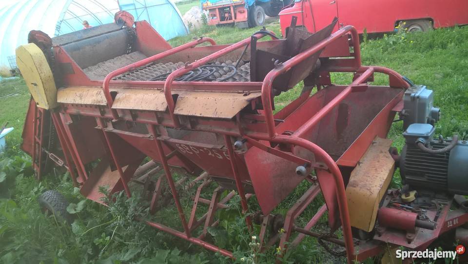 Sortownik do ziemniaków rosyjski świętokrzyskie Pacanów