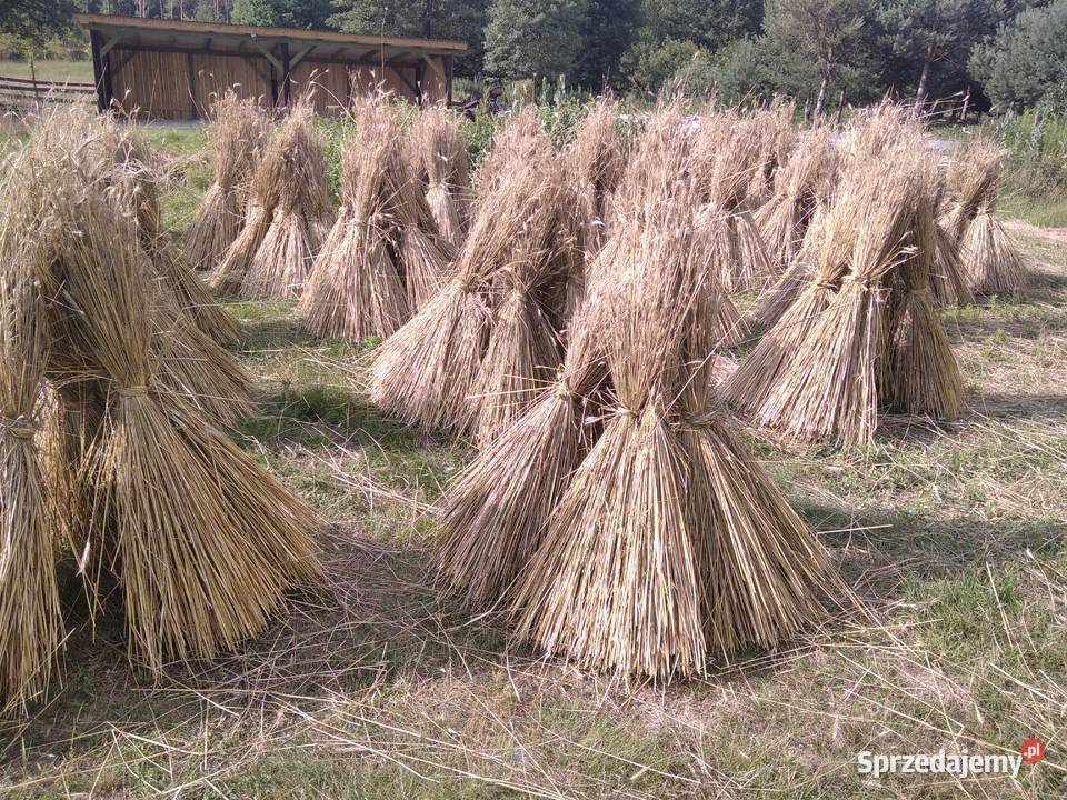 Słoma żytnia prosta Łopuszno