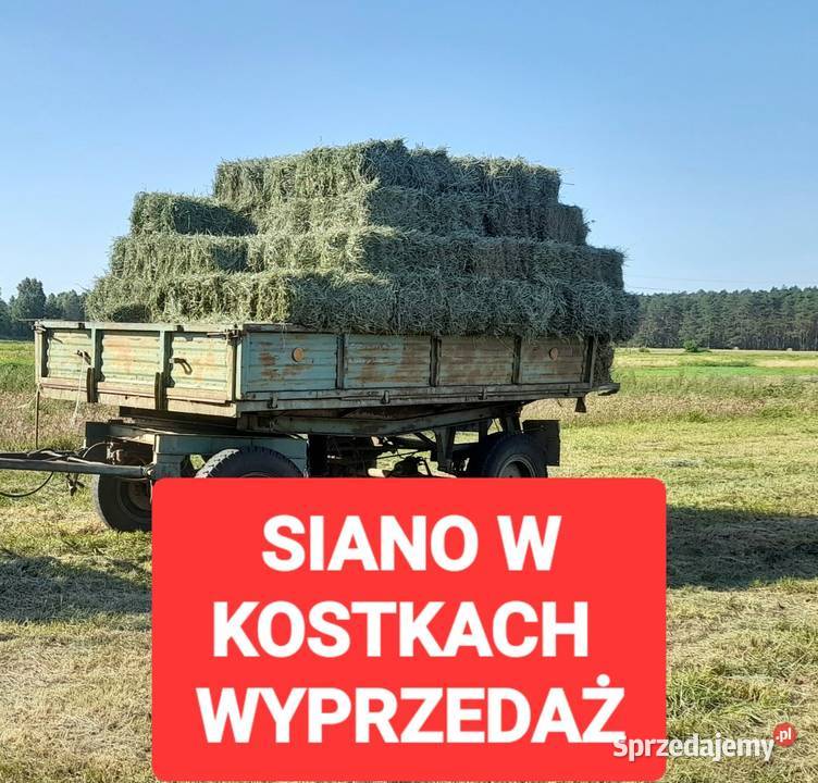 Siano w kostkach Trawy, słoma Trawy, słoma Rusiec sprzedam