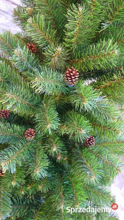 Choina sztuczna TUJA wąska 160 Gniazdów