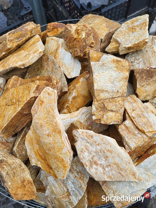 Granit Granodioryt 1622 Sjenit Dalmatyńczyk