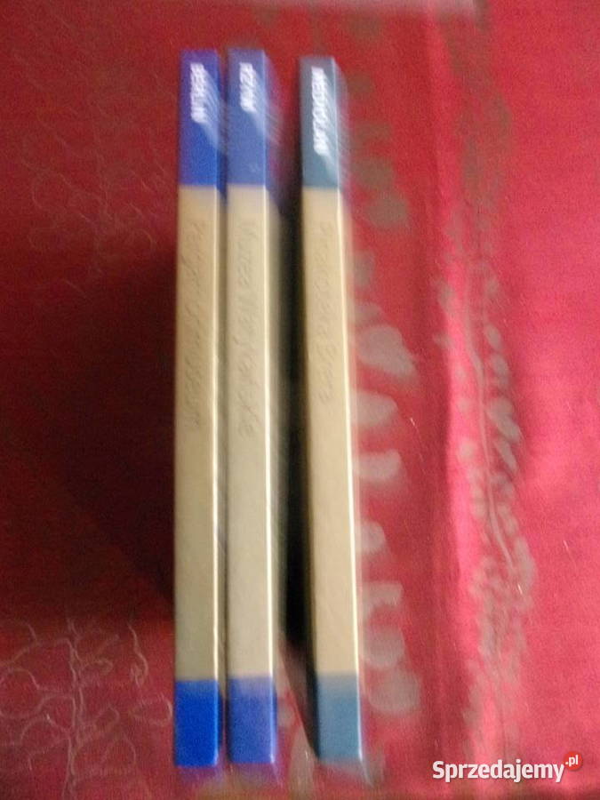 Wielkie Muzea kolekcja albumów Rzeczypospolita sztuka i architektura