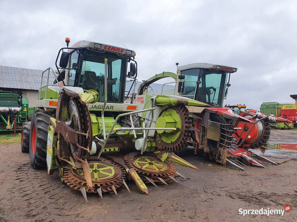 Claas Jaguar 890 840 sprowadzona dopieszczona Kolnica