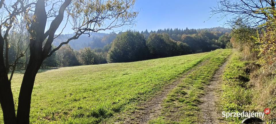 Sprzedam gospodarstwo rolne Jodłowa