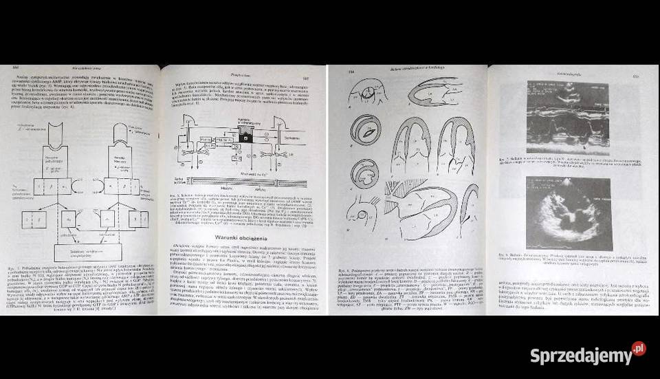 Zarys kardiologii Henryk Chlebus Włodzimierz