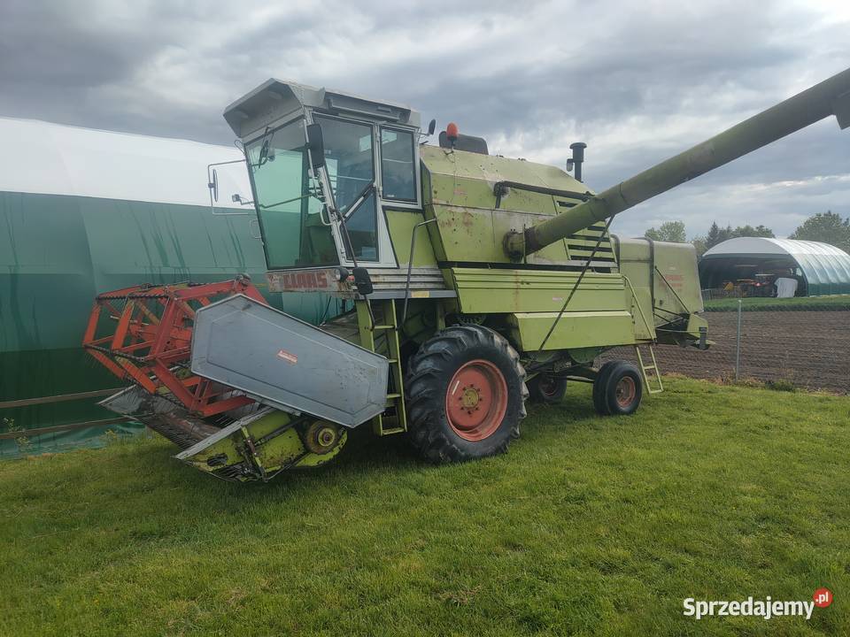 CLAAS Mercator 70 Claas Zbożowe dolnośląskie Kamieniec Ząbkowicki