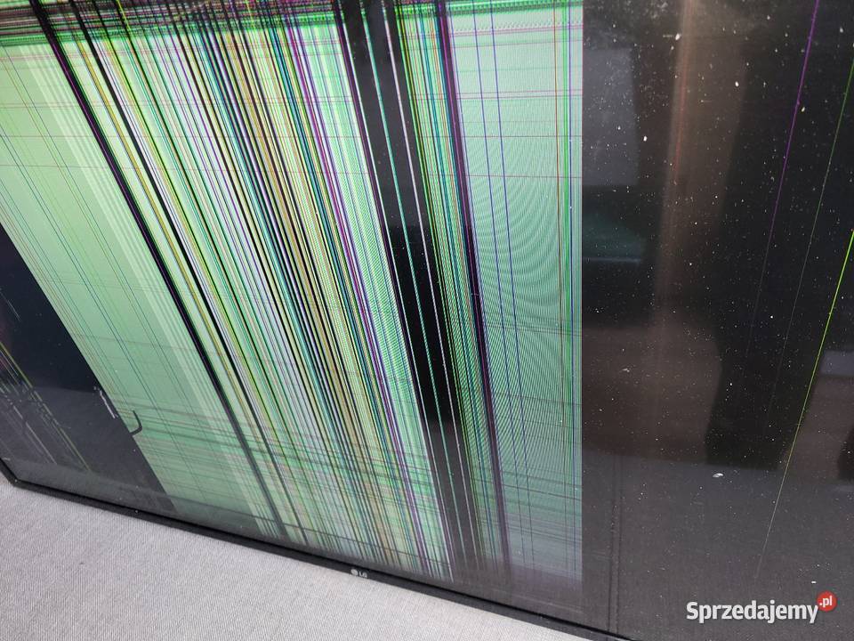 LG 49LJ594V Głośniki telewizora Gliwice