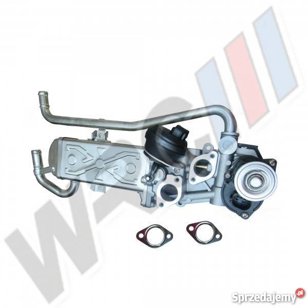 Zawór egr z chłodnicą IbizaToledoRapid Polo osobowe kujawsko-pomorskie